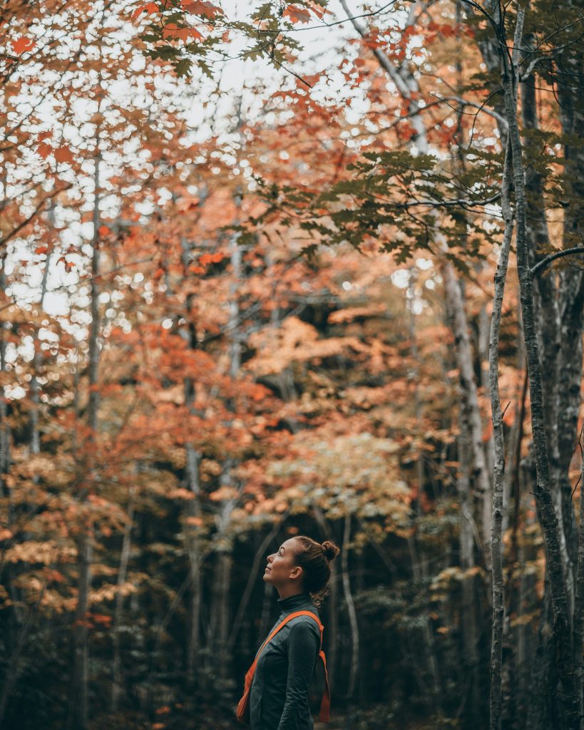 clay-banks-qf80i48mnq0-unsplash